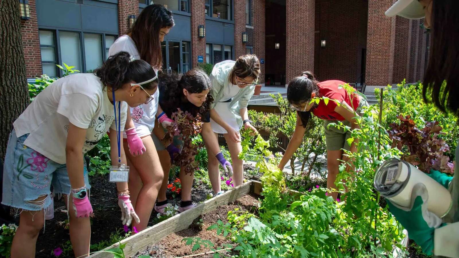pcp students gardening
